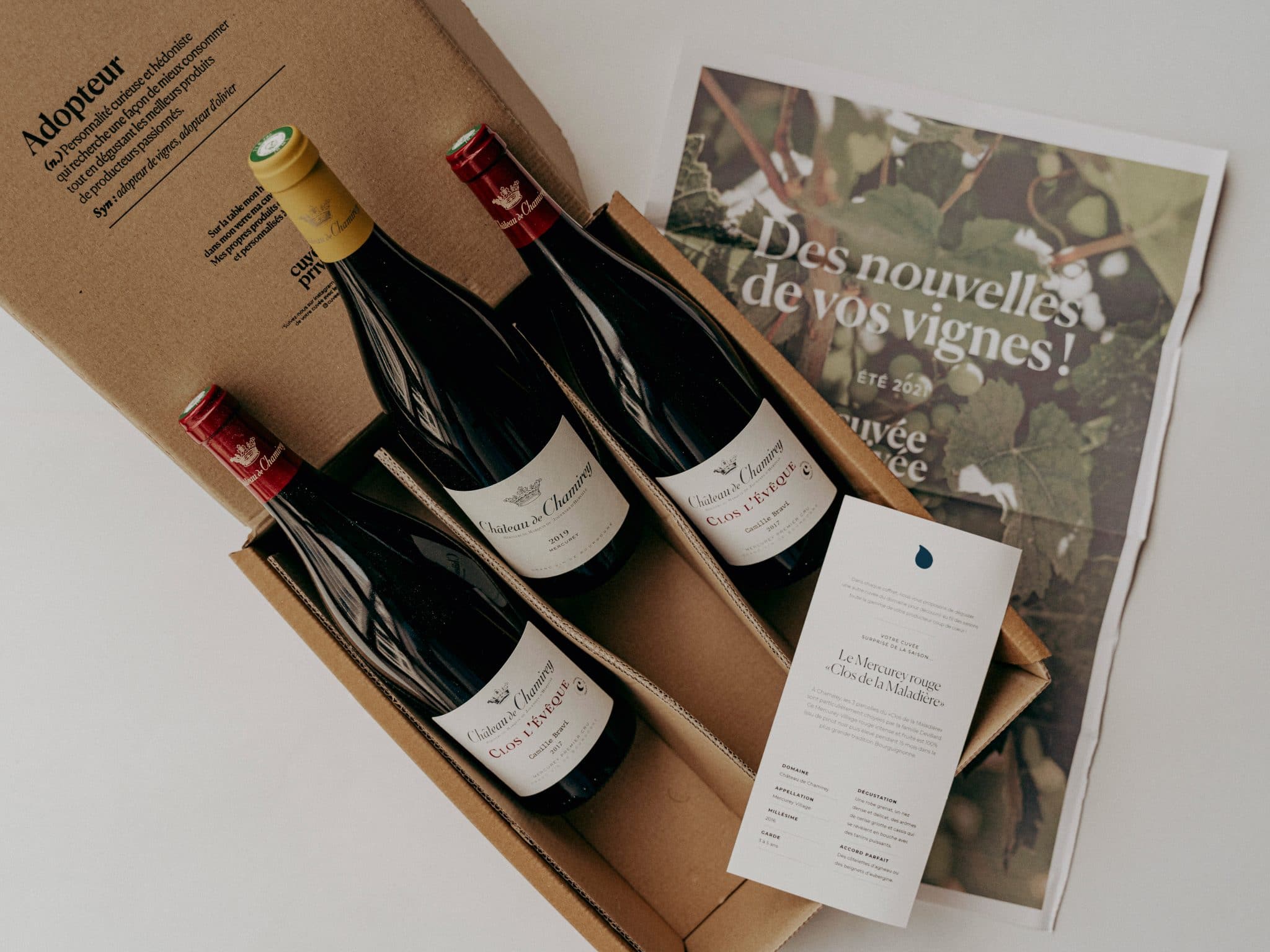 Cadeau original pour les amateurs de vin : offrir une parcelle de vignes