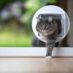 Peut-on installer une chatière sur une baie vitrée ?