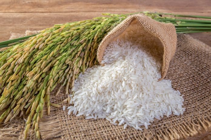 Pénurie en saga : se dirige-t-on vers une pénurie de riz dans nos supermarchés prochainement ?