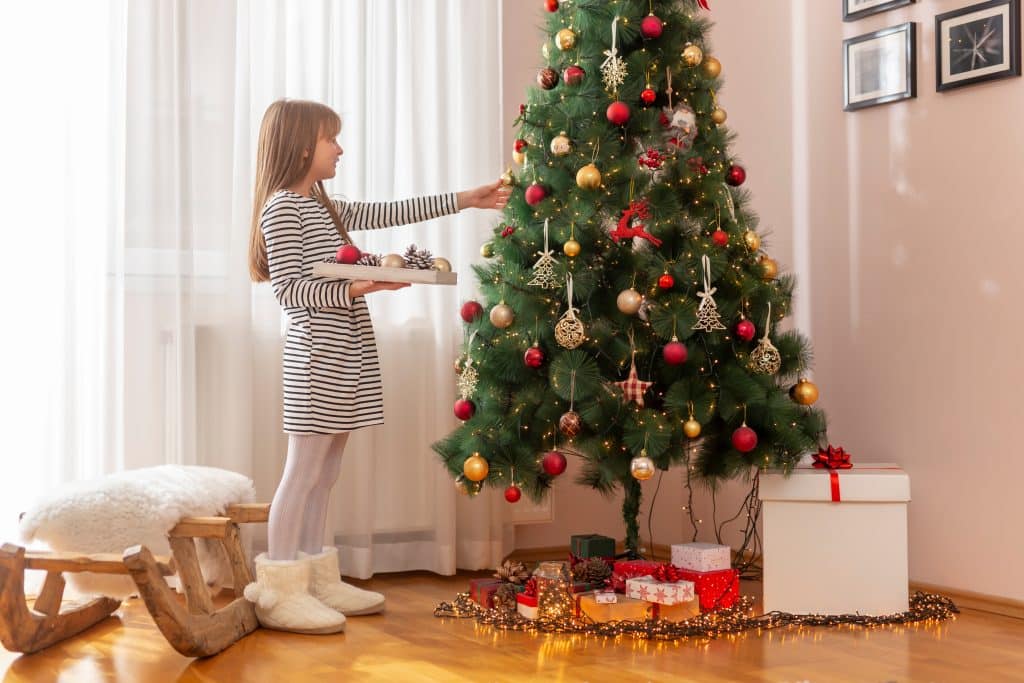 Trouver un sapin de Noël pour votre maison