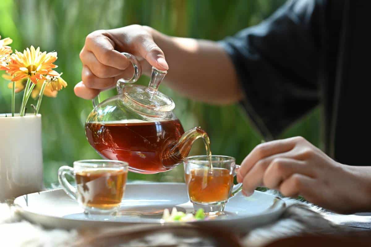 8 steam herbal tea breathe freely фото 116