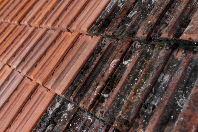 Les bases de l'entretien de toiture : pourquoi et comment le faire régulièrement ?