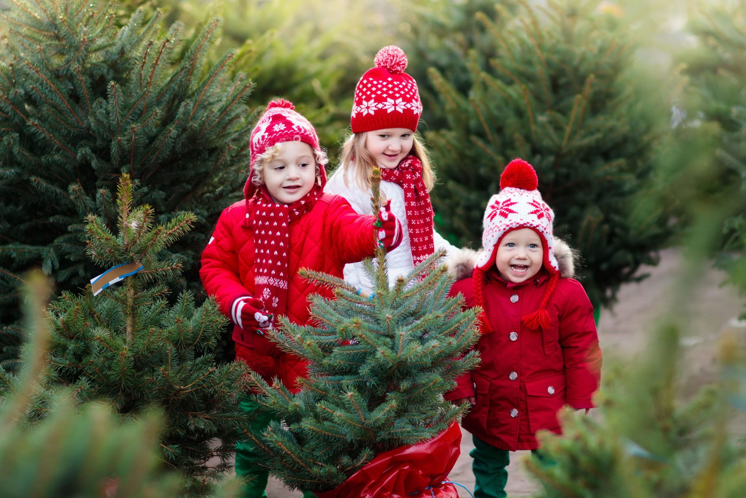 Trois enfants avec des bonnets et des moufles rouges profitent de fêtes en présentant un sapin de Noël.