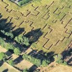 Vue aérienne d'un labyrinthe de maïs avec des sentiers complexes en zigzag qui ressemblent à un brouillon automobile. Des arbres et autres végétaux bordent le labyrinthe, et des ombres sont projetées depuis la structure du labyrinthe.
